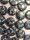 1" Button 4 Pack #5