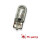 #545 Blinking Bulb