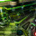 CLiP - The Munsters Premium/LE lower playfield (green)
