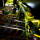 CLiP - Avengers Infinity Quest Pro (yellow)