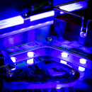 CLiP - Guns N Roses LE/CE (frosted)