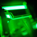 CLiP - Guns N Roses LE/CE (frosted)