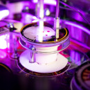 CLiP - Guns N Roses LE/CE (frosted)