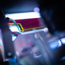 CLiP - Guns N Roses LE/CE (frosted)