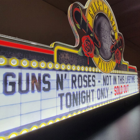 Guns N Roses - Not In This Lifetime Topper