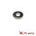 Metal Washer #6